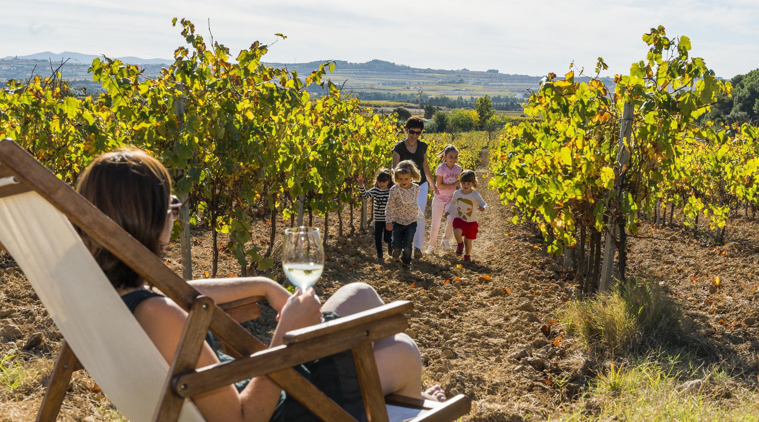 Enoturisme al Penedès, tast entre vinyes