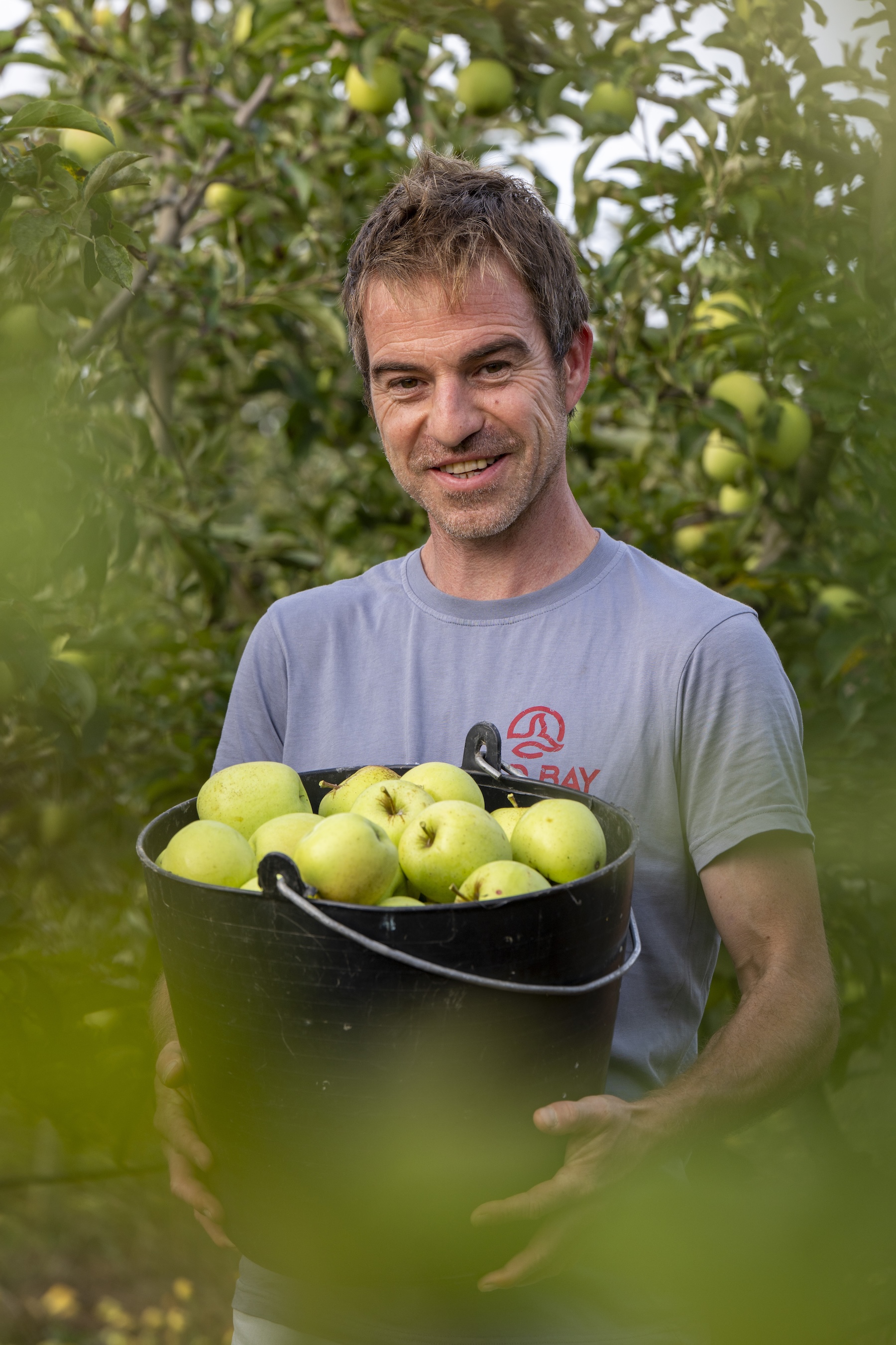 Pomes i fruita del Penedès