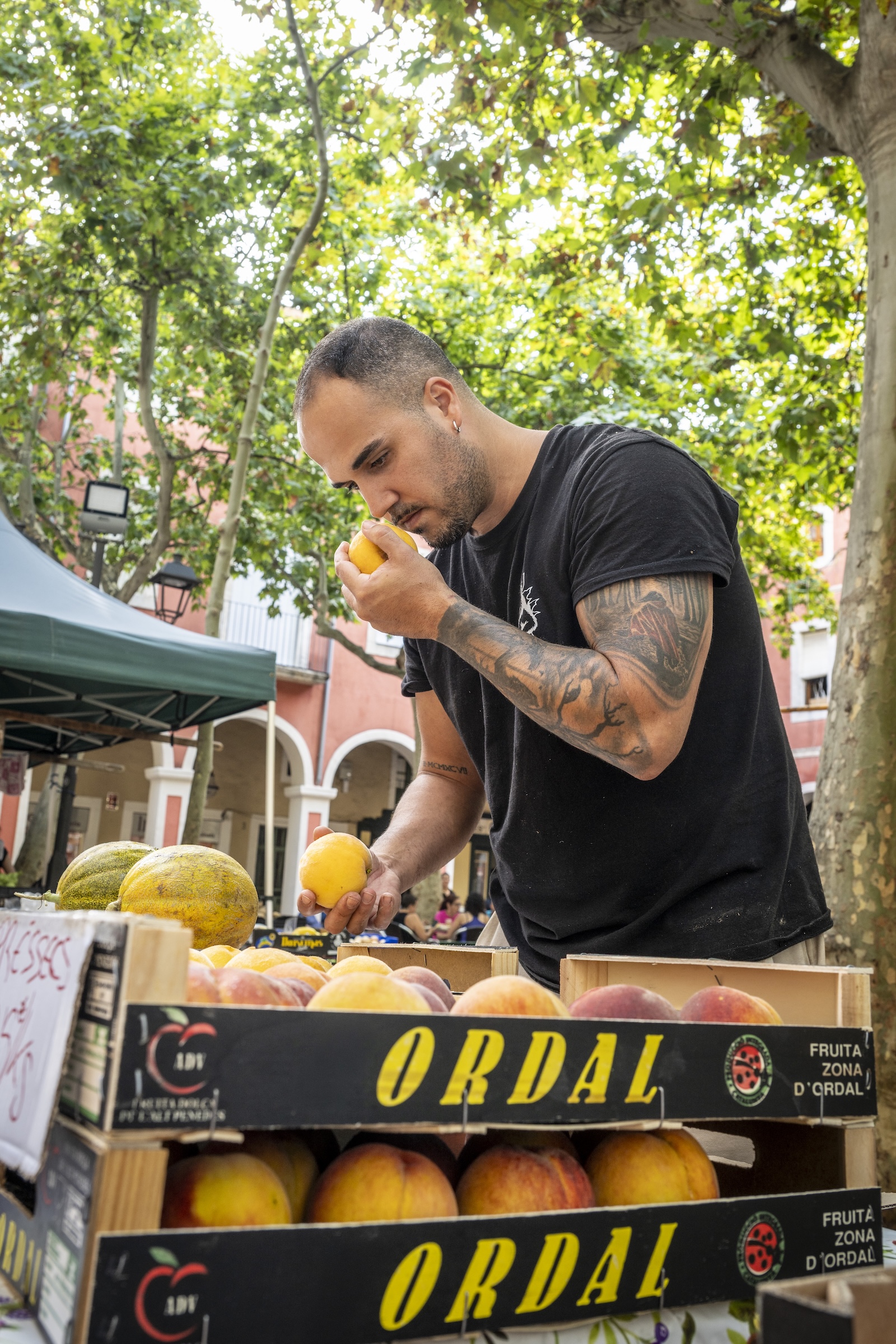 Préssecs de l'Ordal - Fruita del Penedès