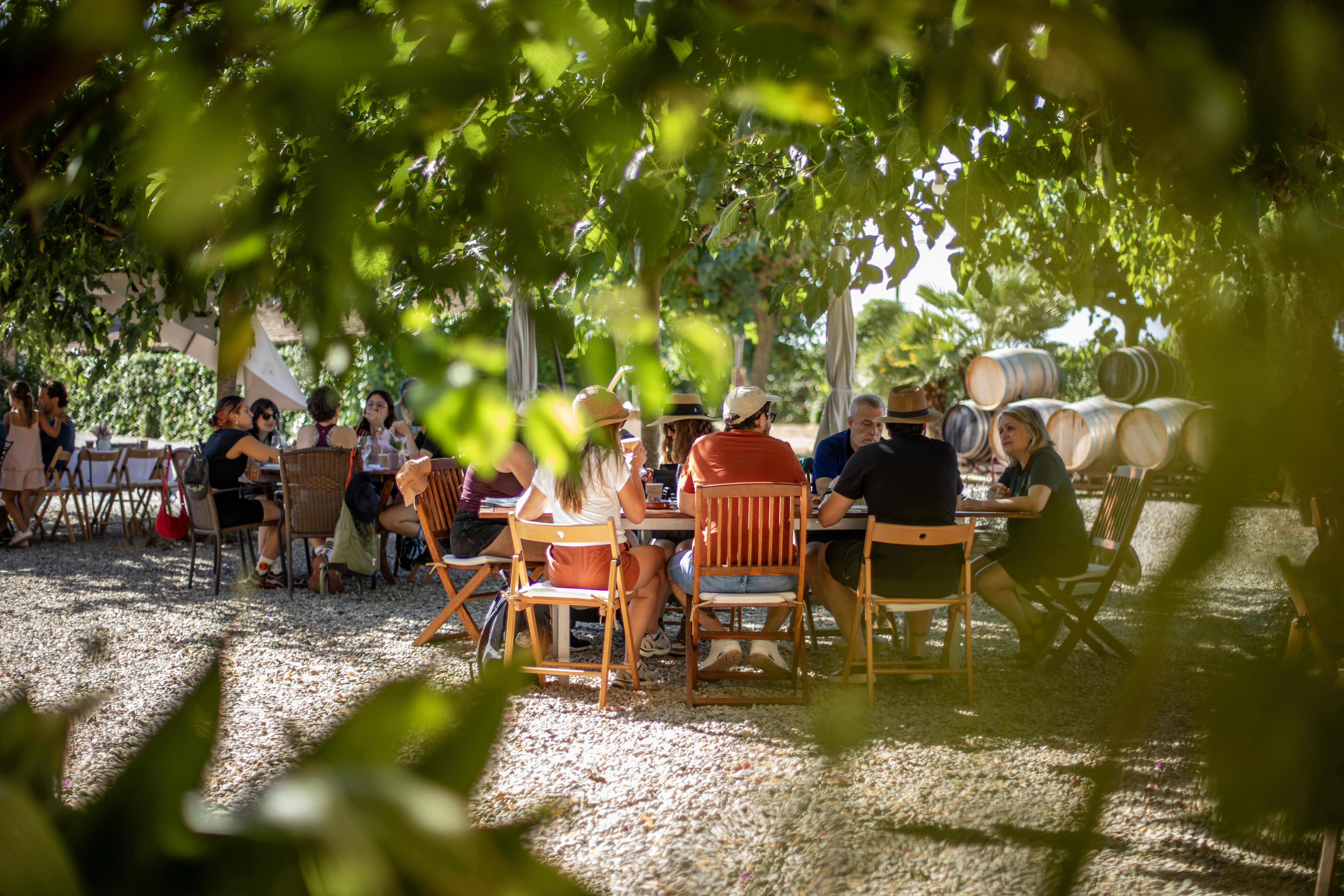 Festa de la Verema al Penedès