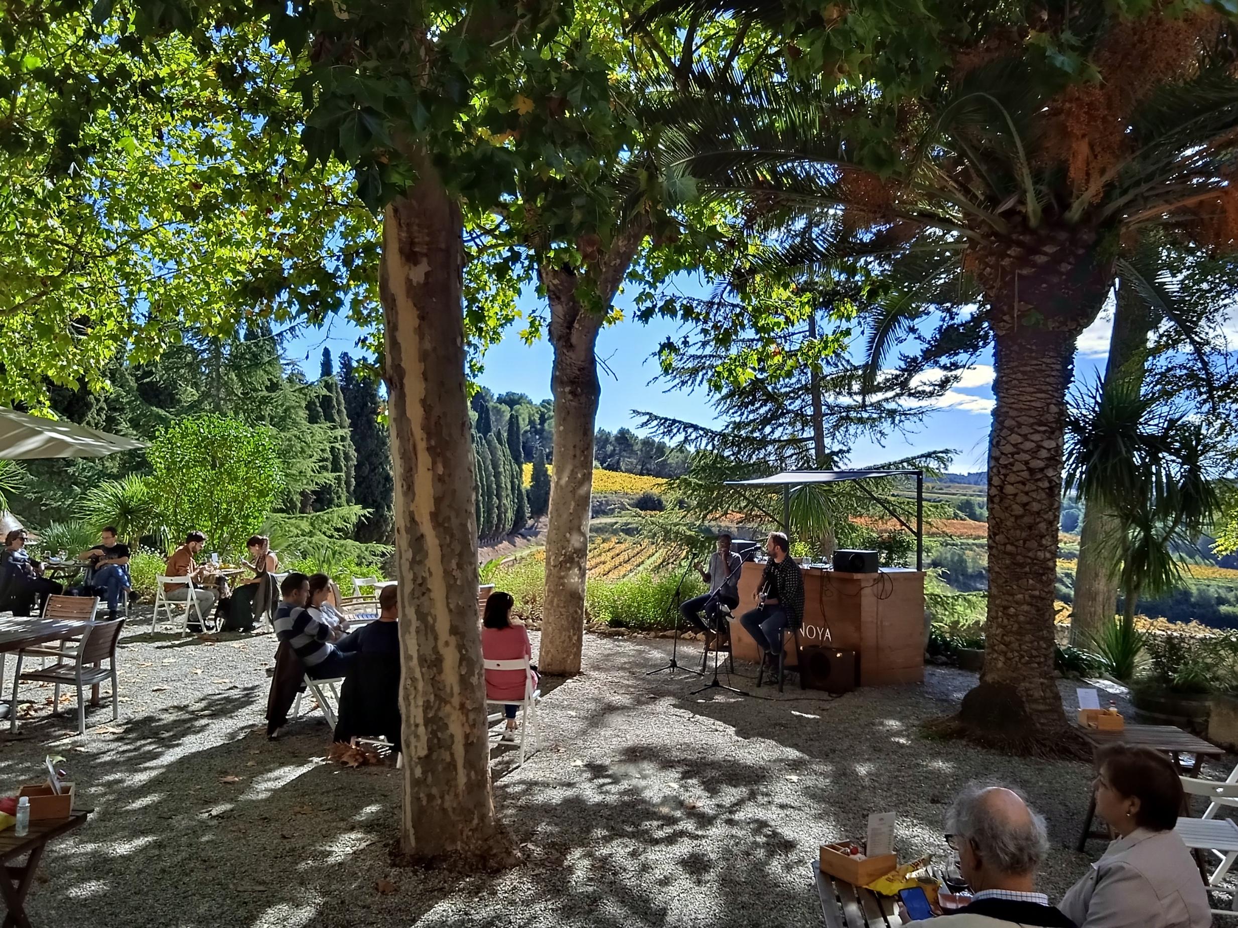 Wine bar estiu