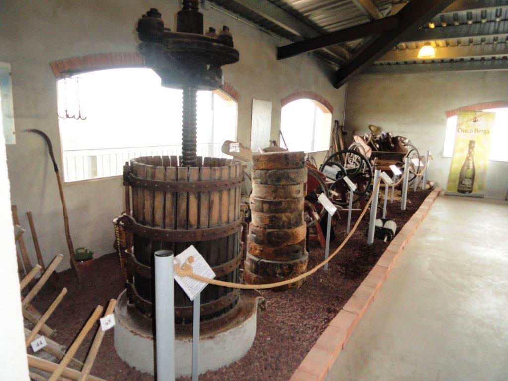 cava-12.jpg