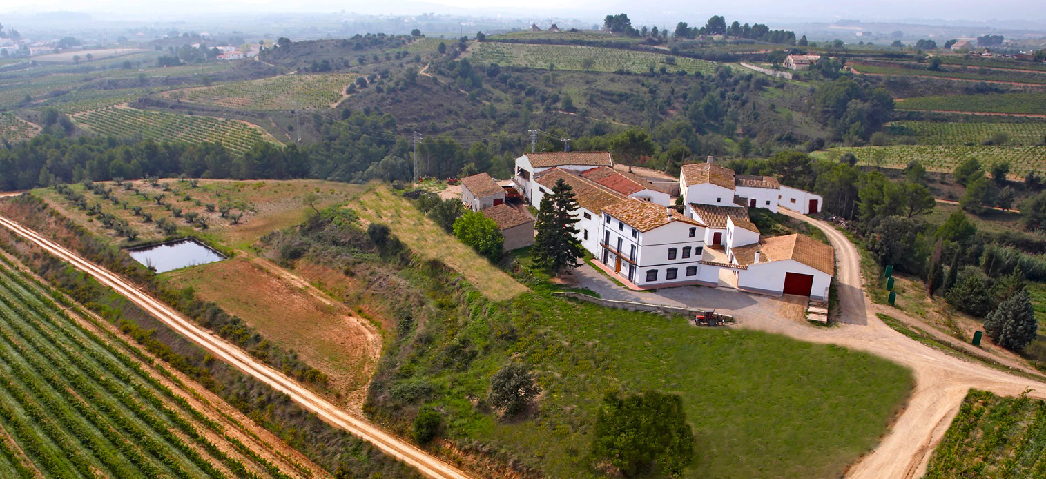 miquel_jane_bodega_aerea_cortada.jpg