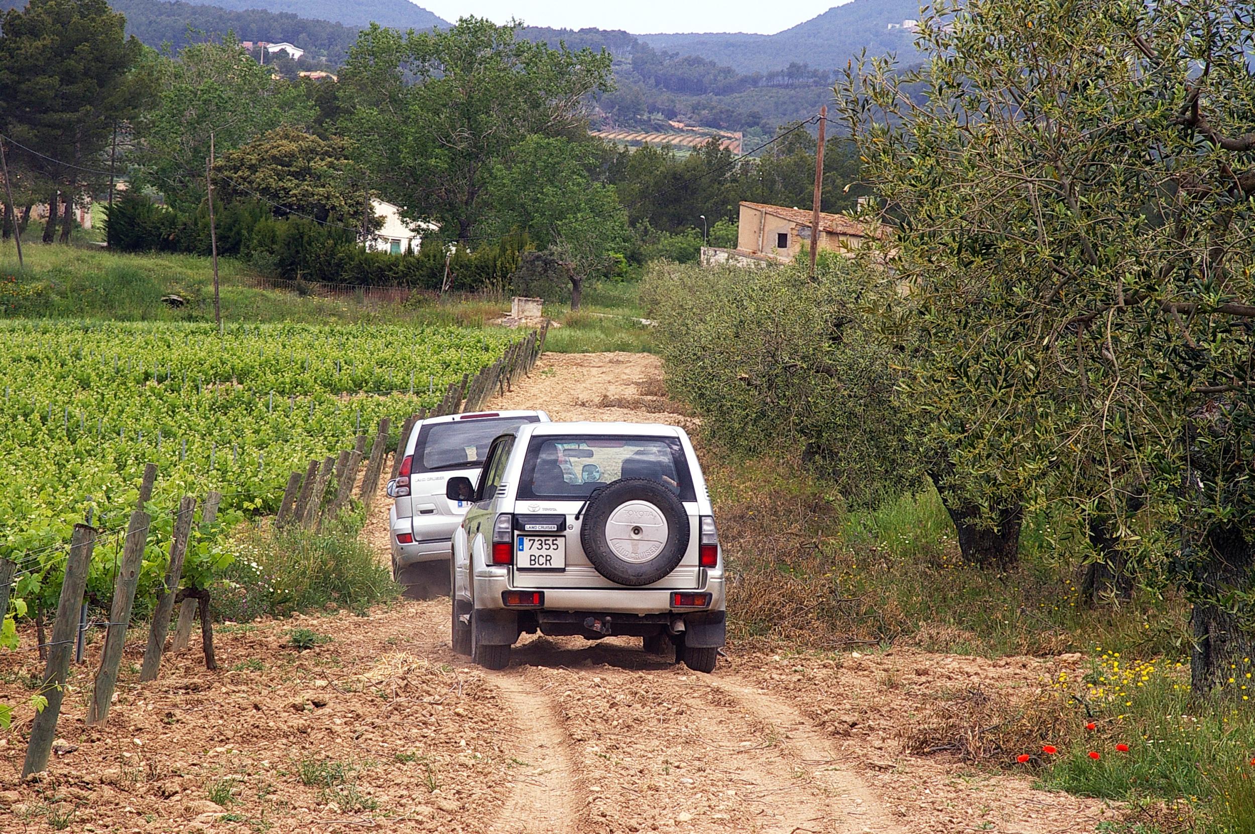 visita_pares_balta_2015_jordi_elias-10.jpg