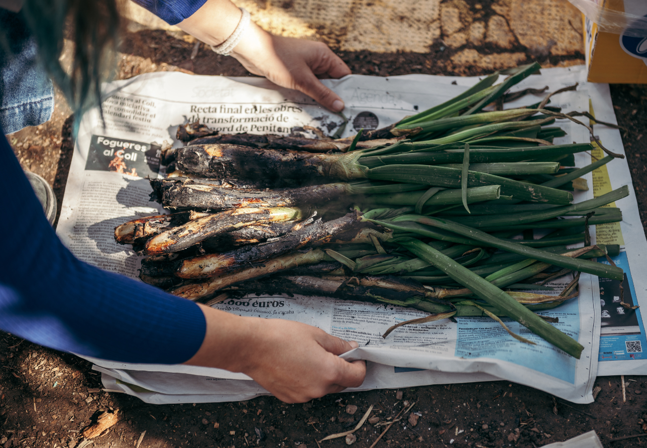 Calçotades entre vinyes al Penedès