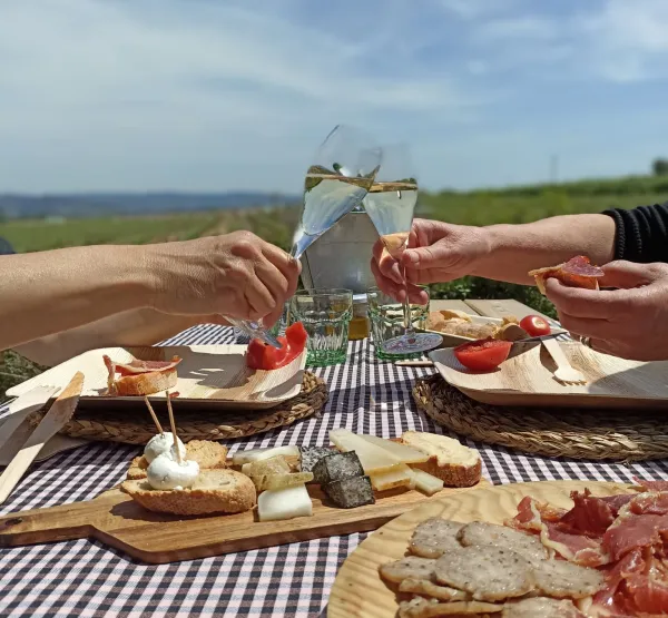 Picnic estiu a celler de vins i caves del Penedès