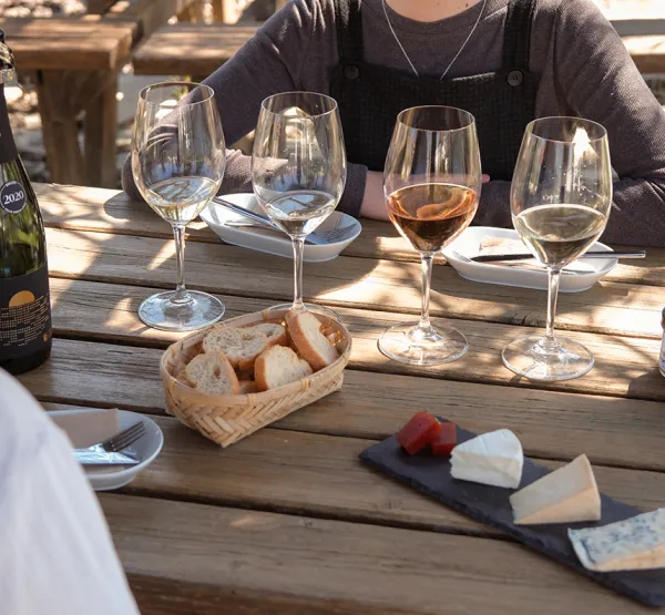 Tast Cava Gran Reserva Selecció Grans Collites