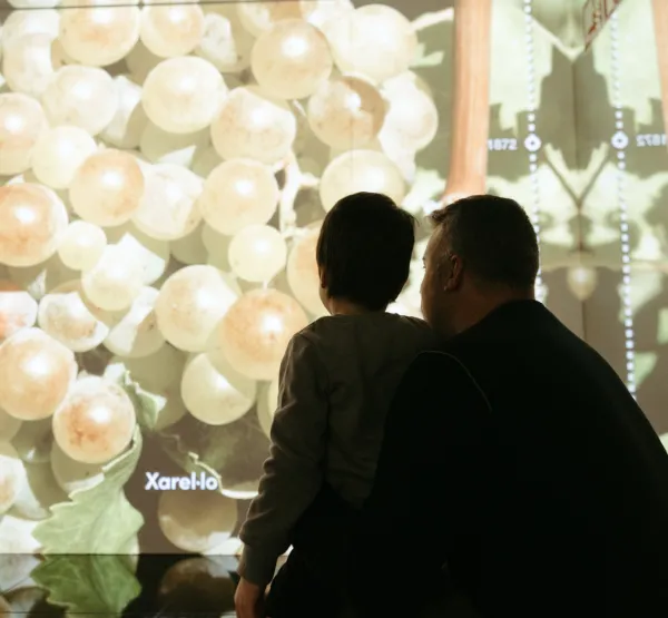 Visita Cava i Xocolata a Sant Sadurní d'Anoia