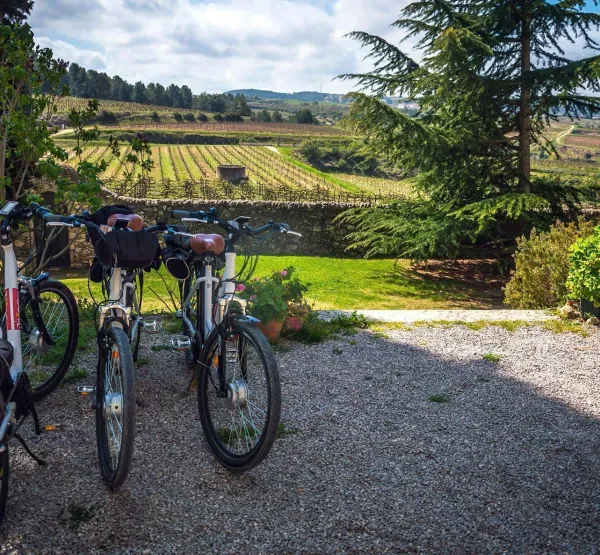 Bike & Visit