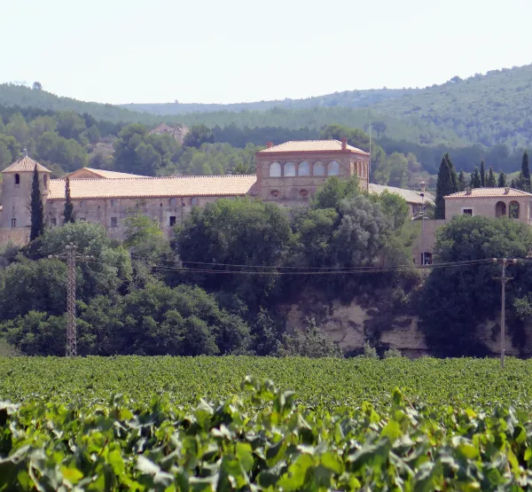 Castell de Penyafort