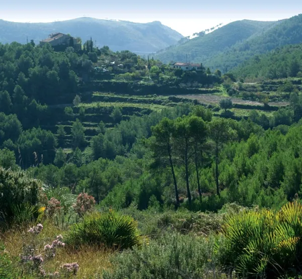 Parc Comarcal d’Olèrdola