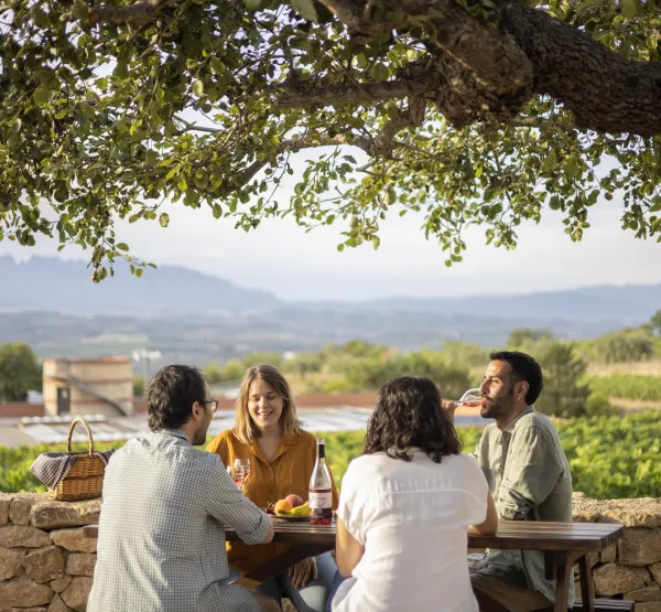 Llopart ofereix unes vistes excepcionals a les montanyes de Montserrat i a les vall de vinyes del Penedès