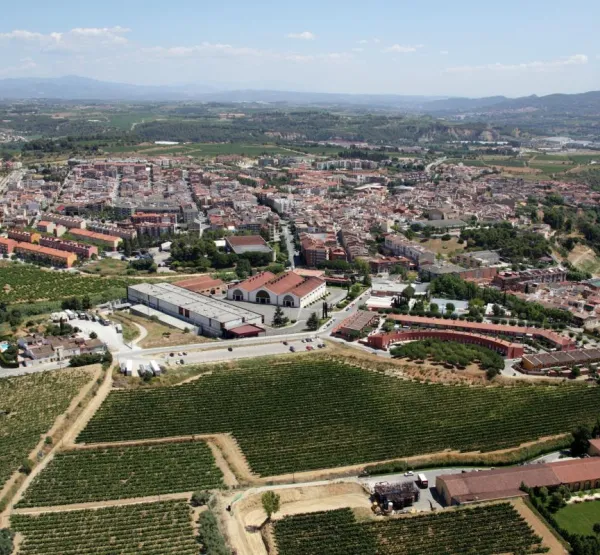 aeria_sant_sadurni_2.jpg