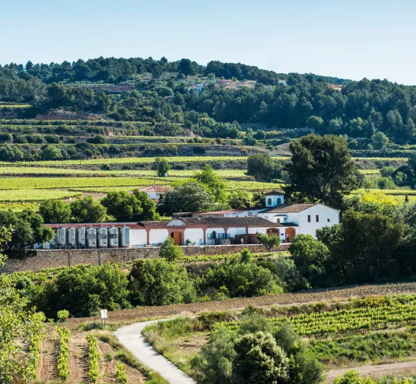 foto_principal_eno_penedes.jpg