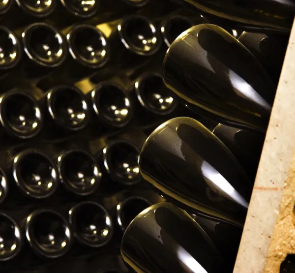 Jaume Llopart Alemany Wines and Cavas