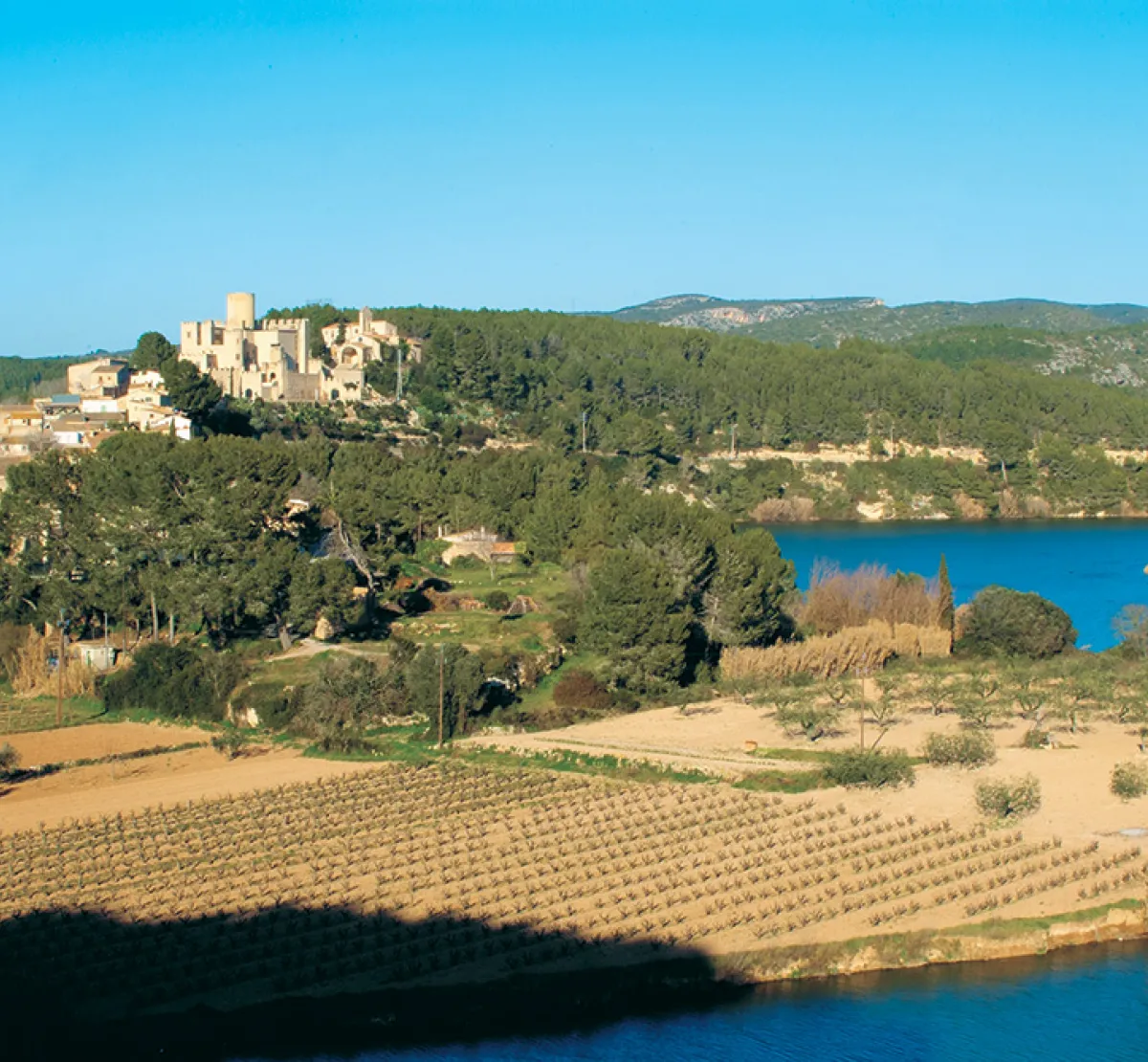 Parc del Foix