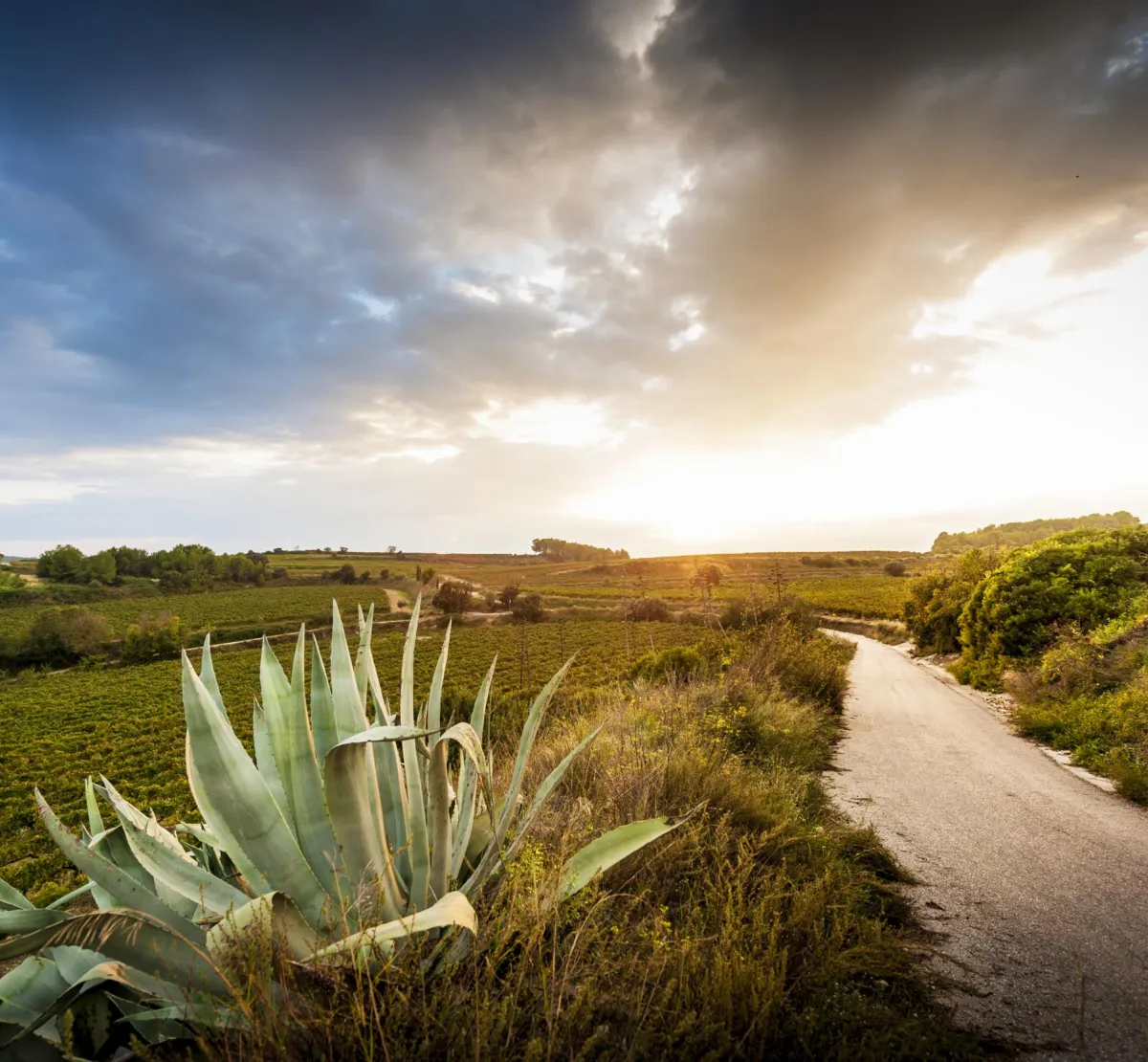Natura i paisatges