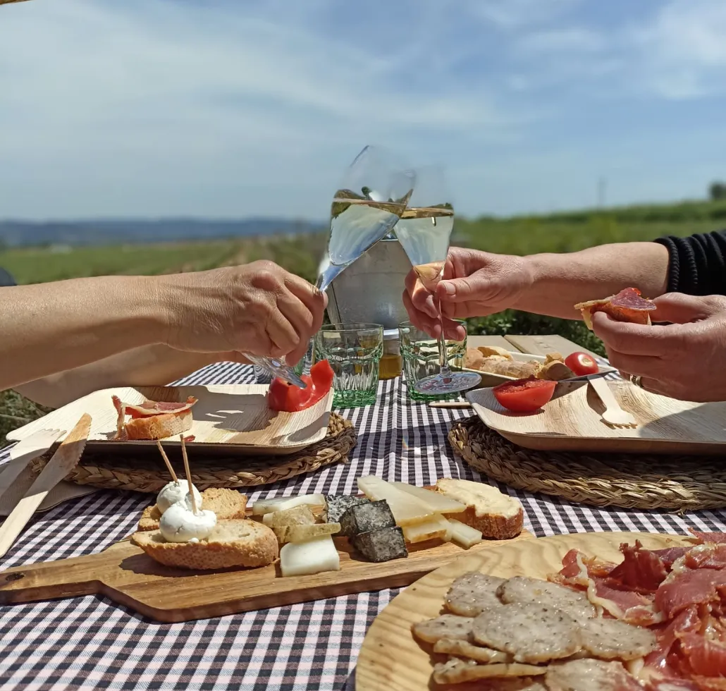 Picnic estiu a celler de vins i caves del Penedès