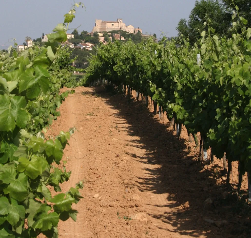 Sant Martí Sarroca