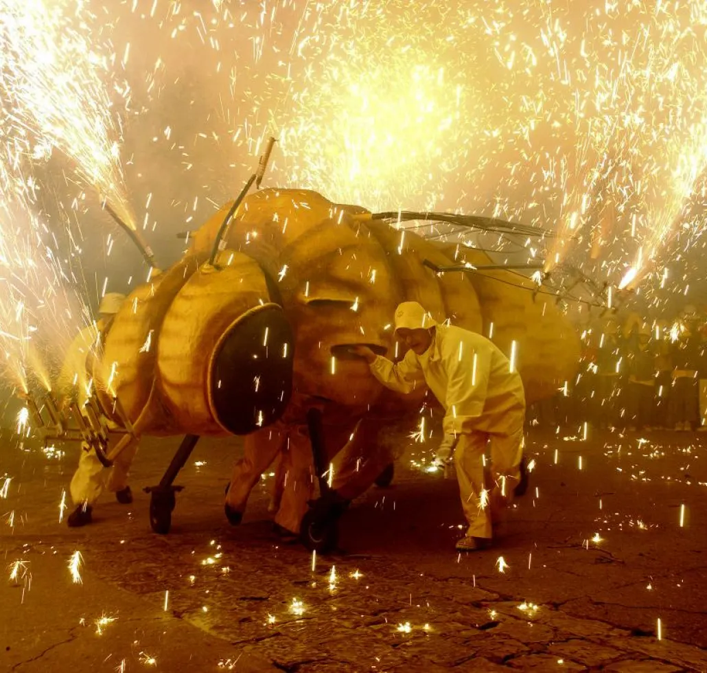 Sant Sadurní phylloxera festival