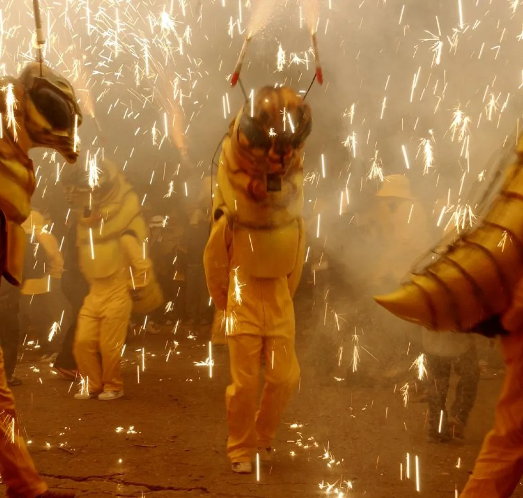 Sant Sadurní phylloxera festival