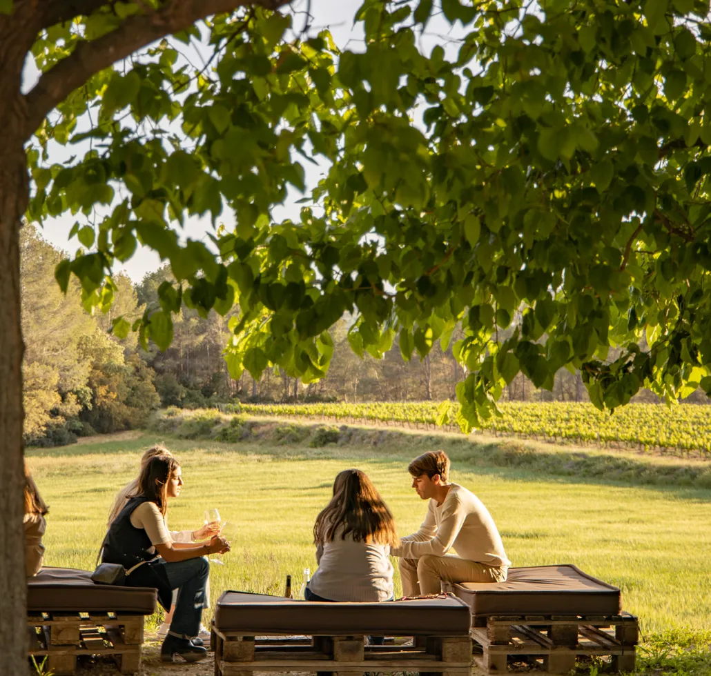 Espai Tast Vins El Cep